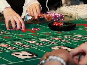 威廉体育2024最新版